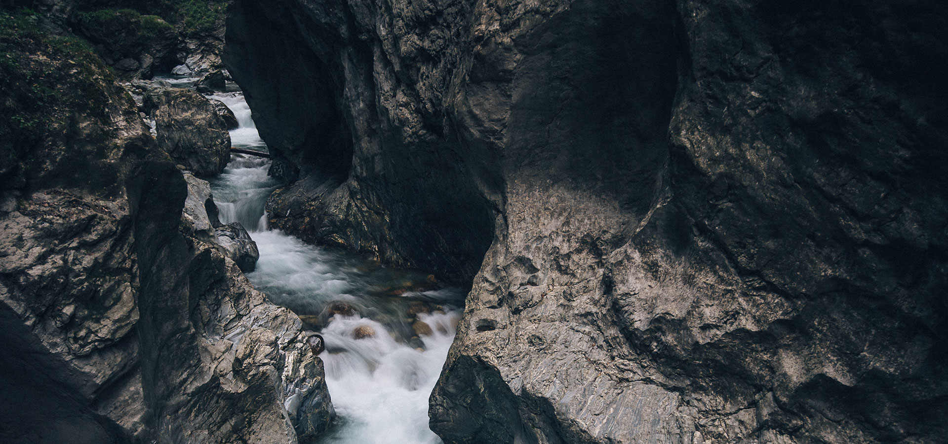 nature5-1.jpg